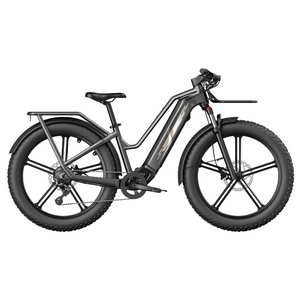 Fiido Titan - Bicicleta elétrica