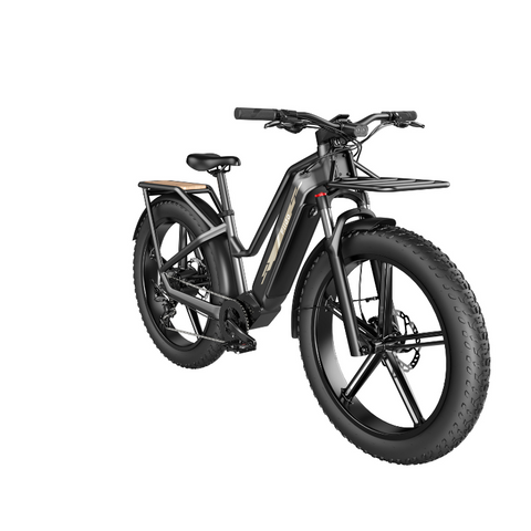 Image of Fiido Titan - Bicicleta elétrica