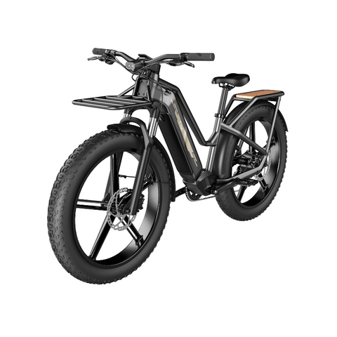 Image of Fiido Titan - Vélo électrique