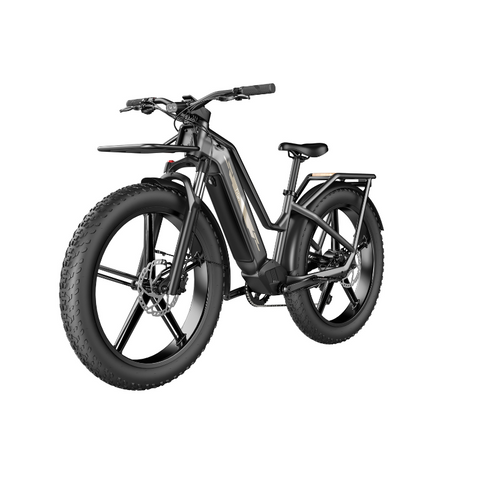 Image of Fiido Titan - Vélo électrique