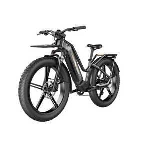 Fiido Titan - Bicicleta elétrica