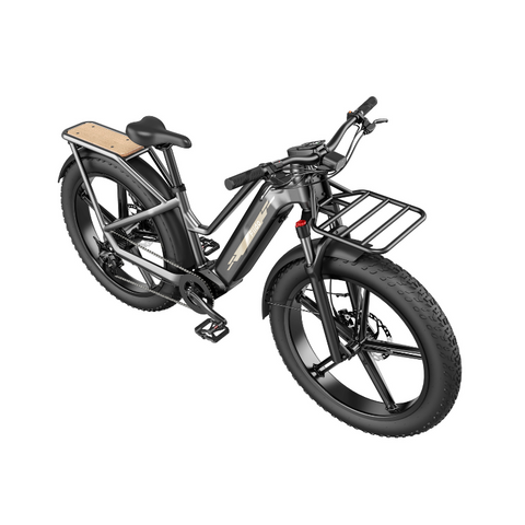 Image of Fiido Titan - Bicicleta eléctrica