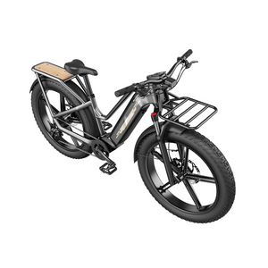 Fiido Titan - Bicicleta eléctrica
