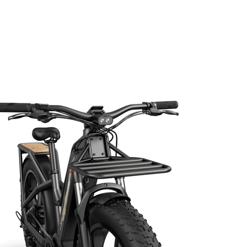 Image of Fiido Titan - Elektrische fiets