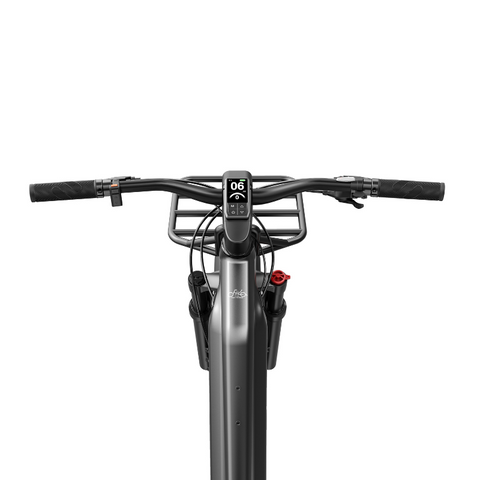 Image of Fiido Titan - Electric bicycle