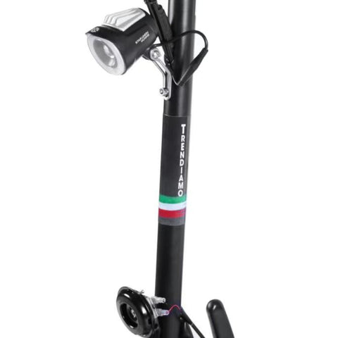 Image of Trendiamo Country Plus (EEC) - Electric scooter